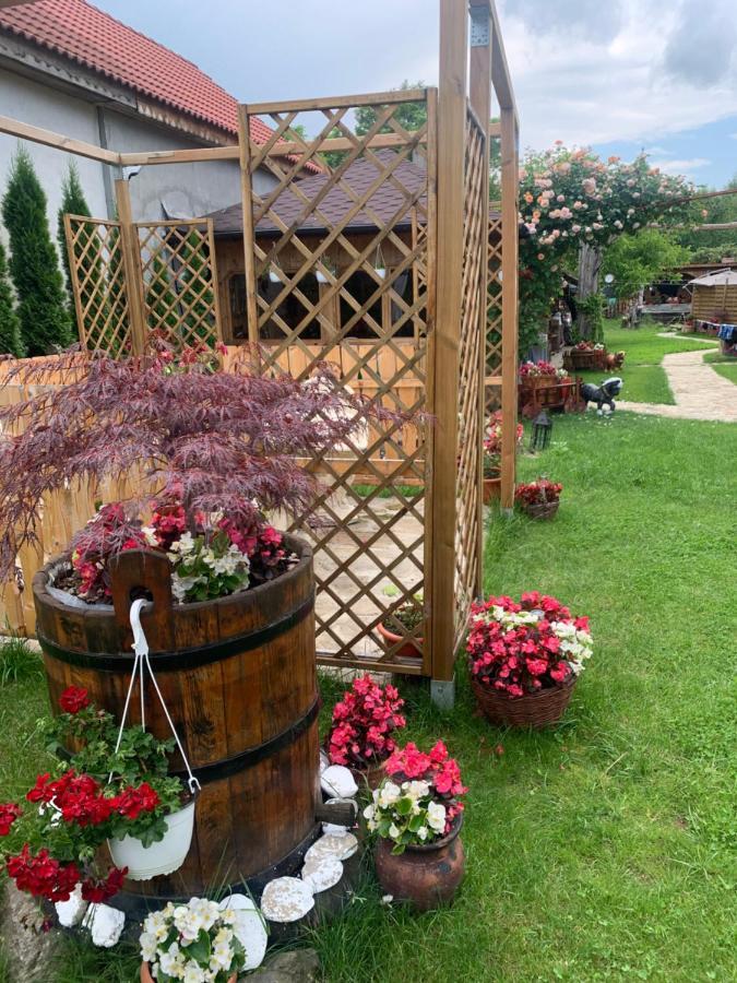 Agropensiunea Casa Nica Margineni  Exteriör bild