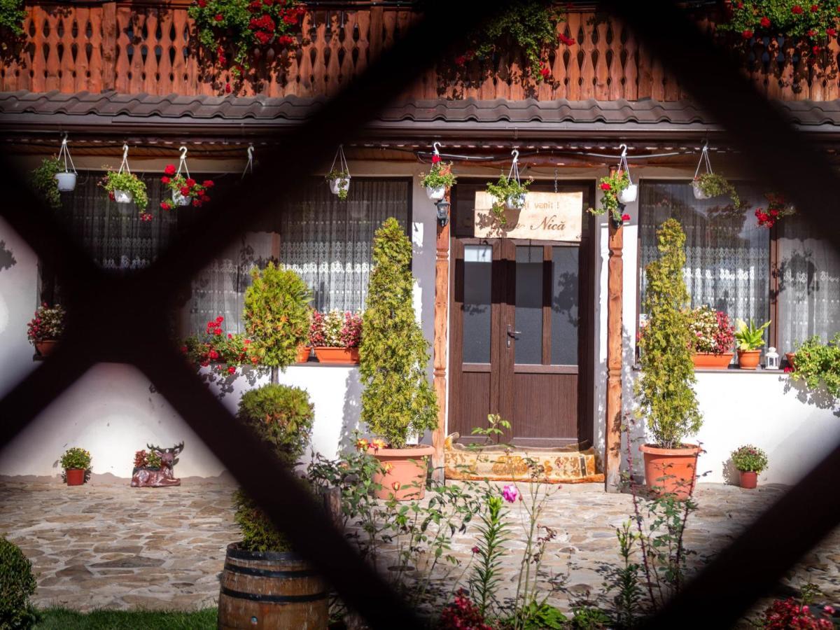 Agropensiunea Casa Nica Margineni  Exteriör bild