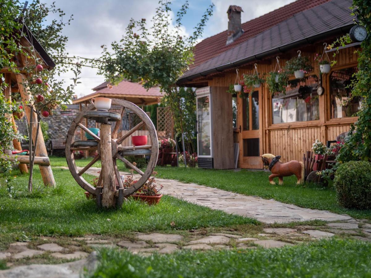 Agropensiunea Casa Nica Margineni  Exteriör bild
