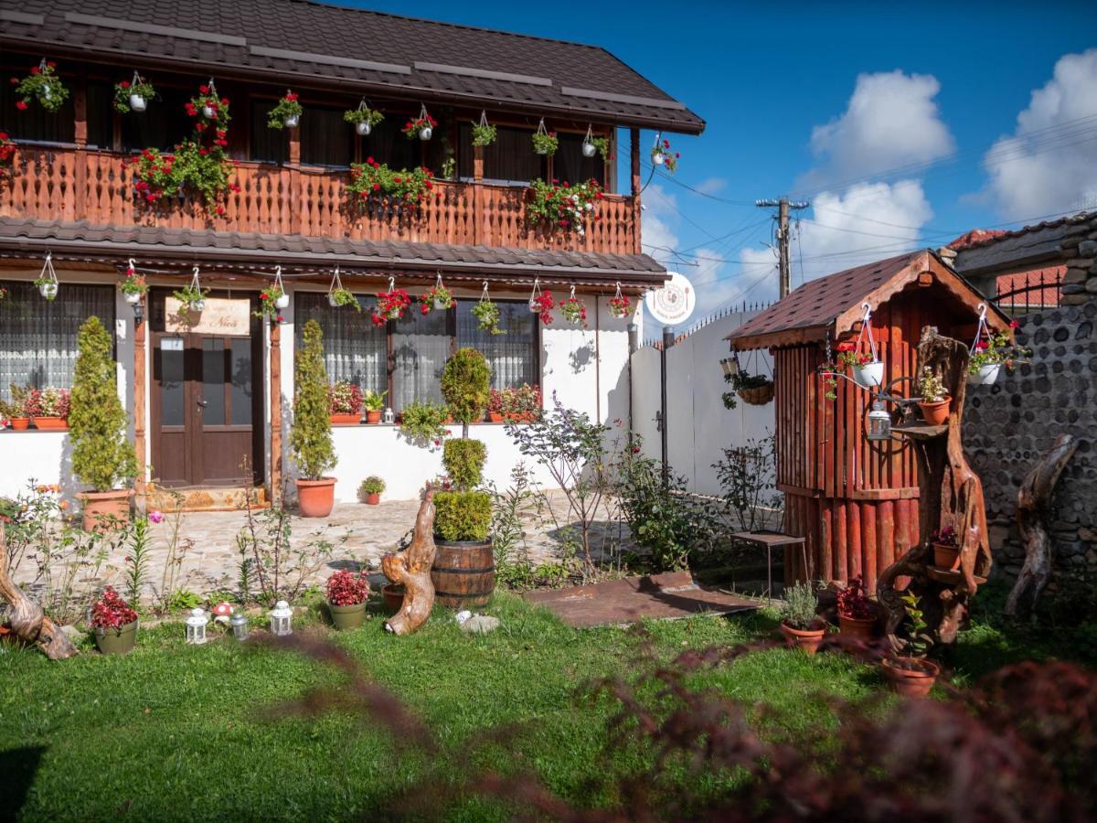 Agropensiunea Casa Nica Margineni  Exteriör bild