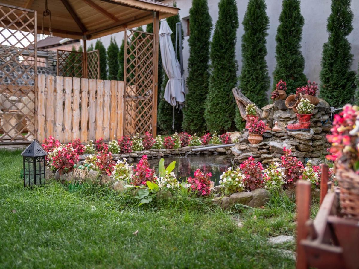 Agropensiunea Casa Nica Margineni  Exteriör bild